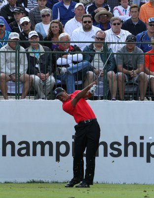 tiger.jpg